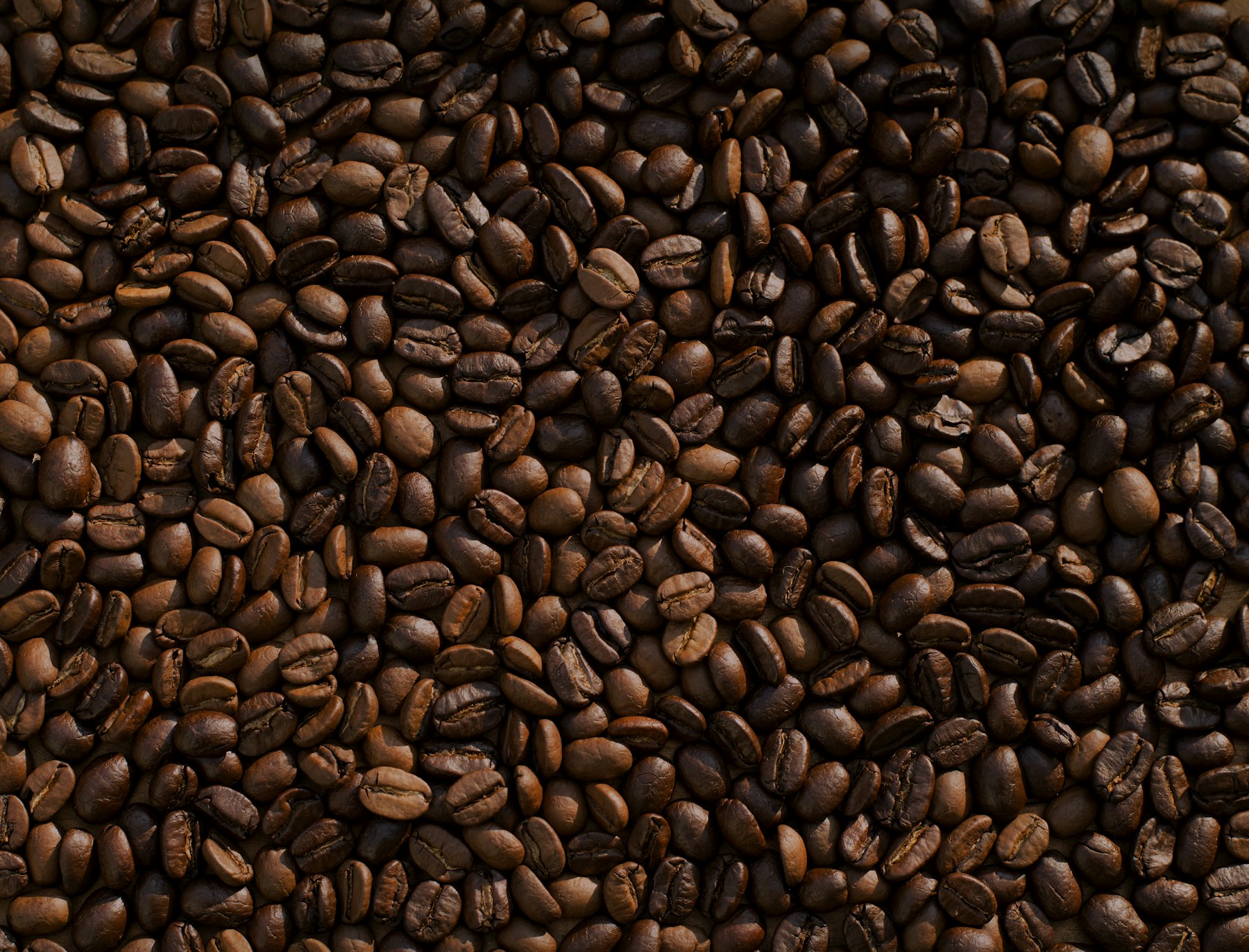 Café coado sendo preparado em Chemex